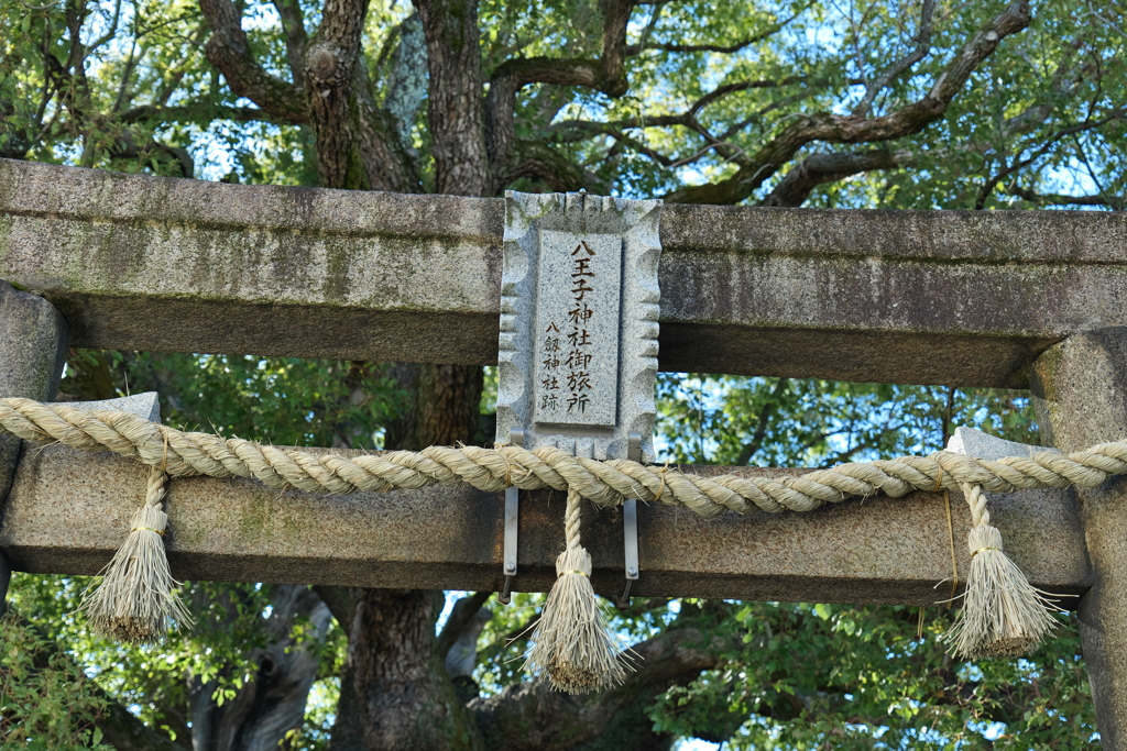 P1000279