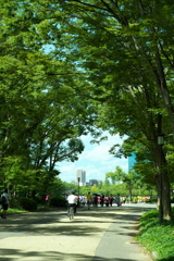 DSC02076