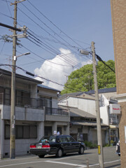 _1040873_DxO