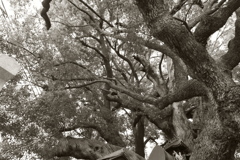 P1020072