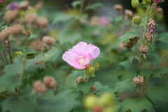 DSC02980