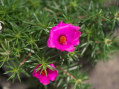 P1053045