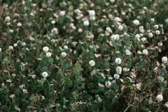 DSC00769