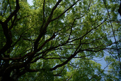 7R309361_DxO