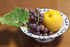 P1082165