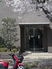 _1040303_DxO