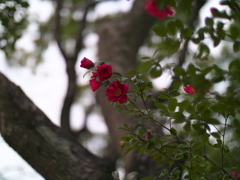 P1051717