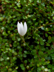 P1000649_DxO