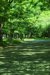 DSC02133_1