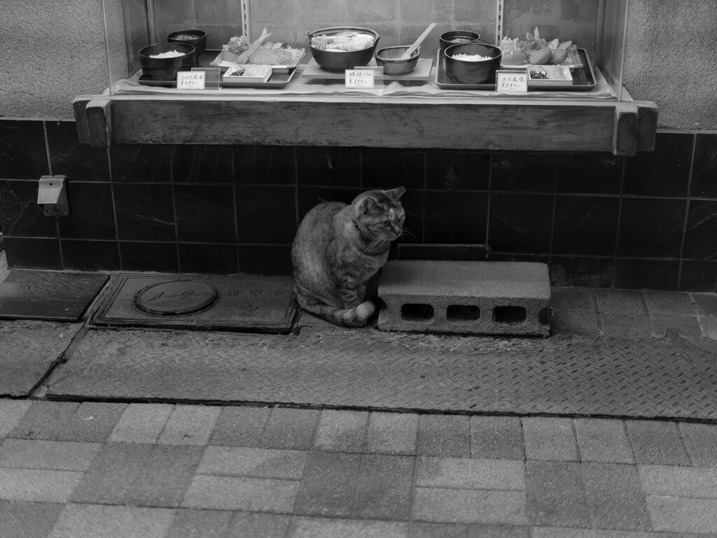 と言う事でモノクロに