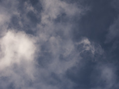 拡大すると・・・