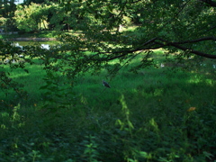 P1104521