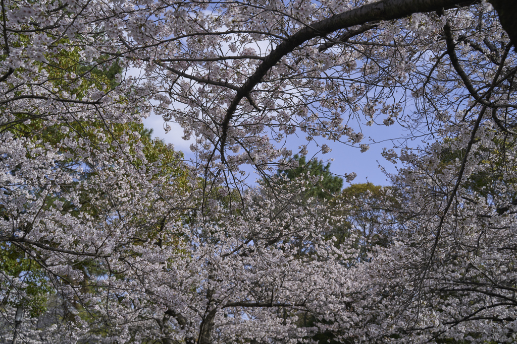 A7C09597