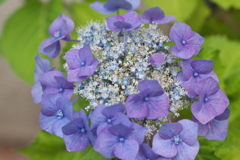 DSC01341
