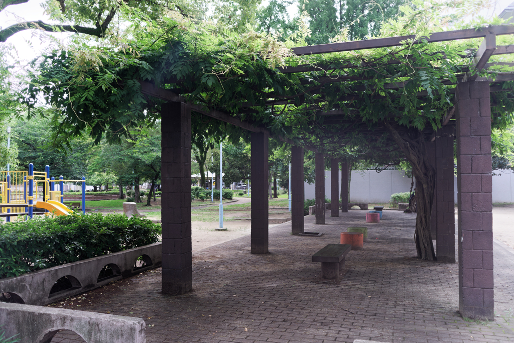 DSC09415_DxO