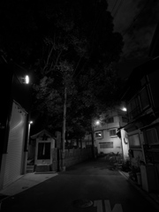 P1040400_DxO-1