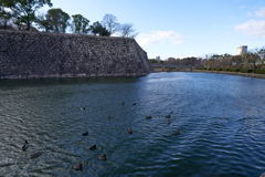 DSC04719_1