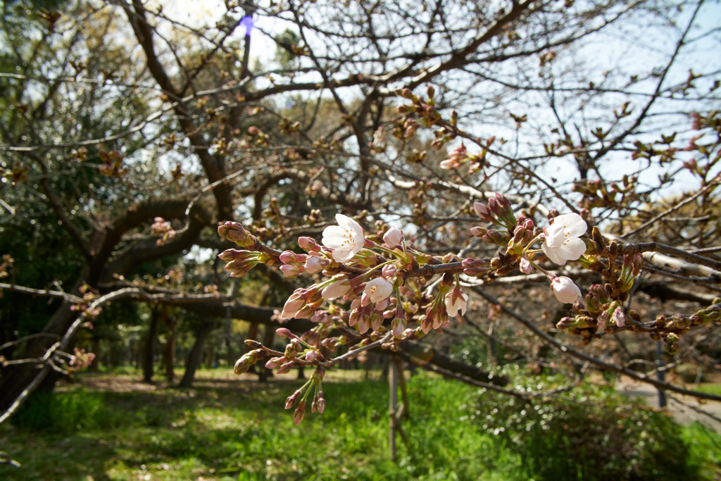 DSC00411_2