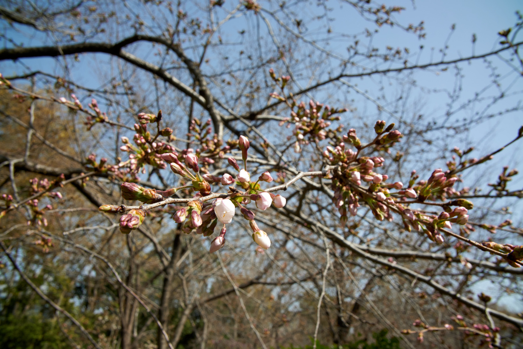 DSC00404