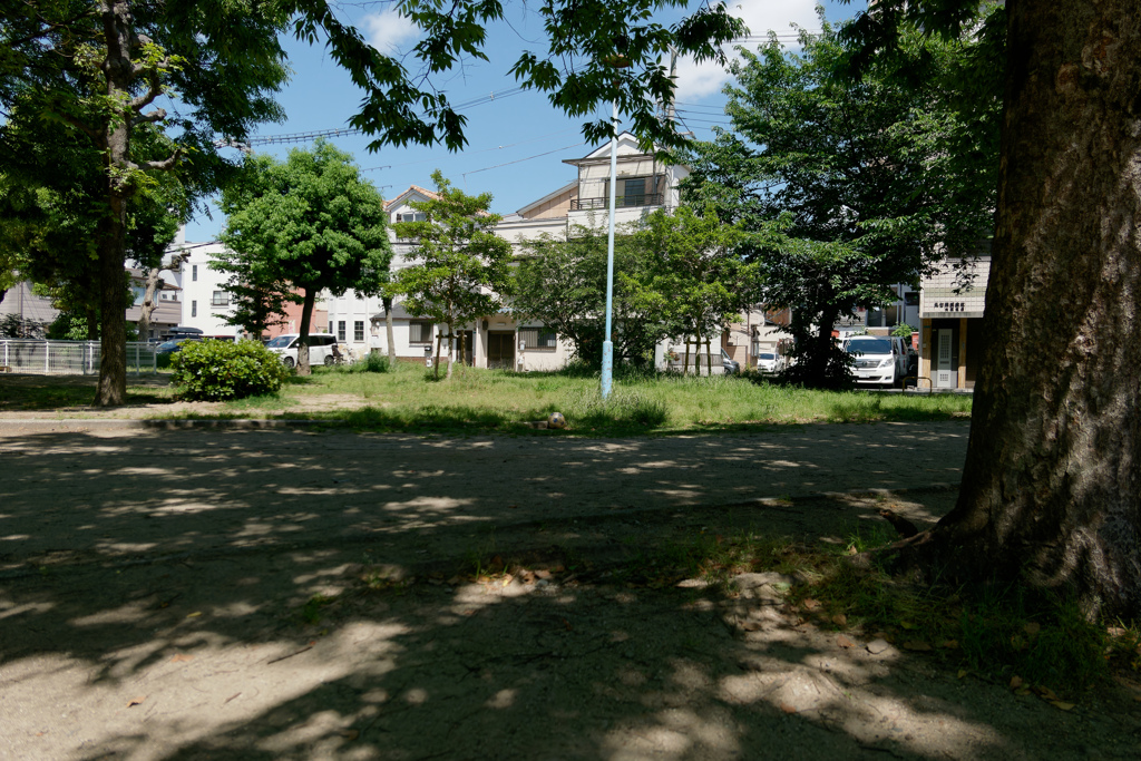 ある晴れた５月の公園