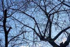 DSC00108