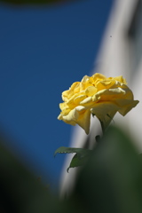 DSC00672