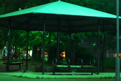 DSC00753