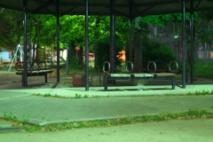 DSC00754