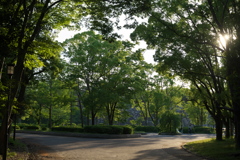 DSC01009 (1)