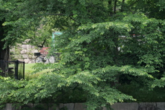 P1056177