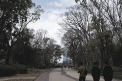 桜にはまだ早かった