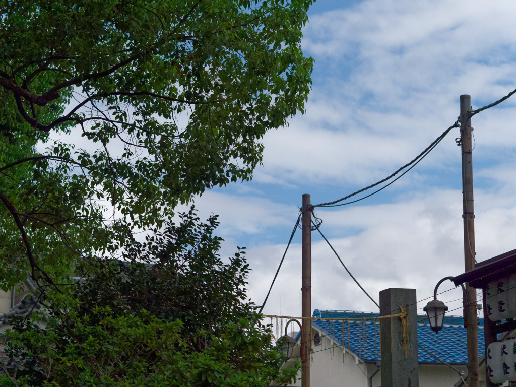 P1060753_DxO