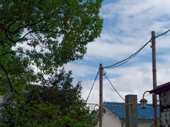 P1060753_DxO