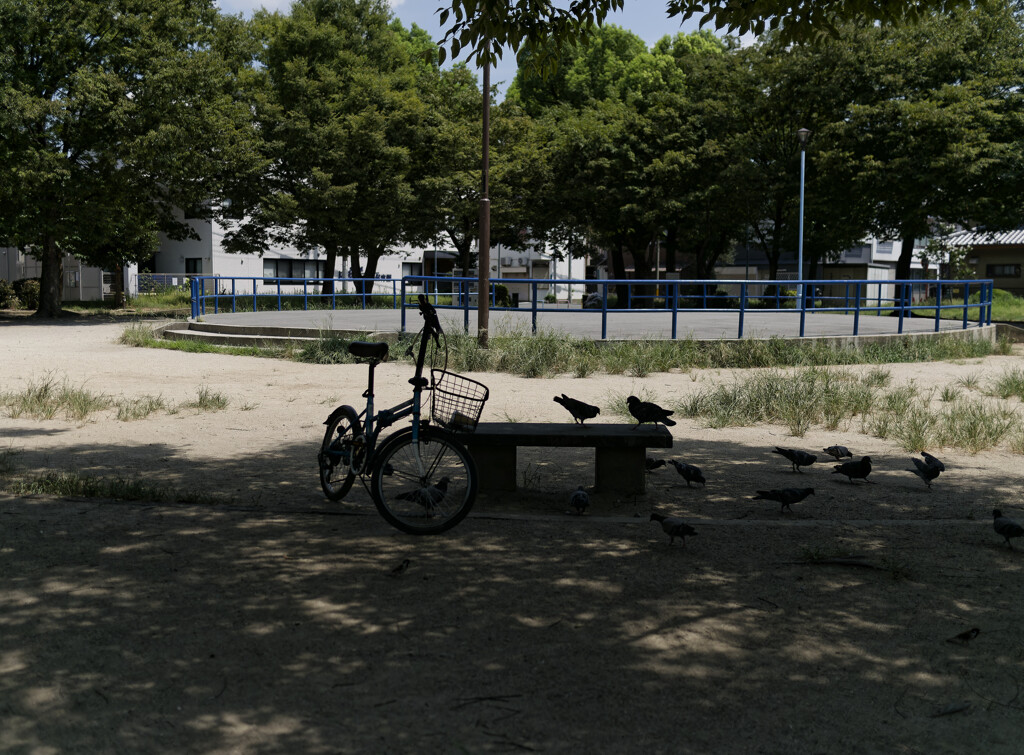 _1040726_DxO