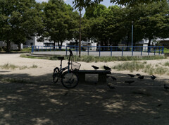 _1040726_DxO