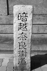 猛暑の季節になりました