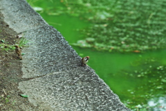 DSC01839