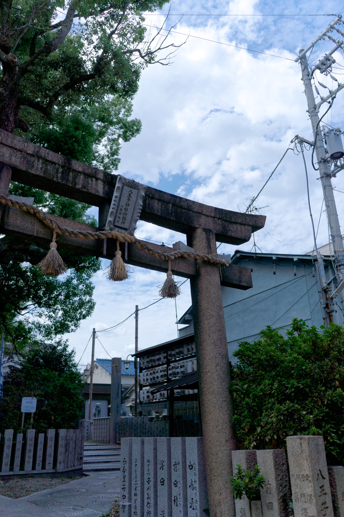 雲
