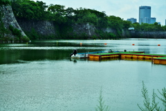 DSC01799