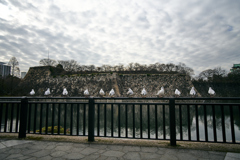 DSC04595