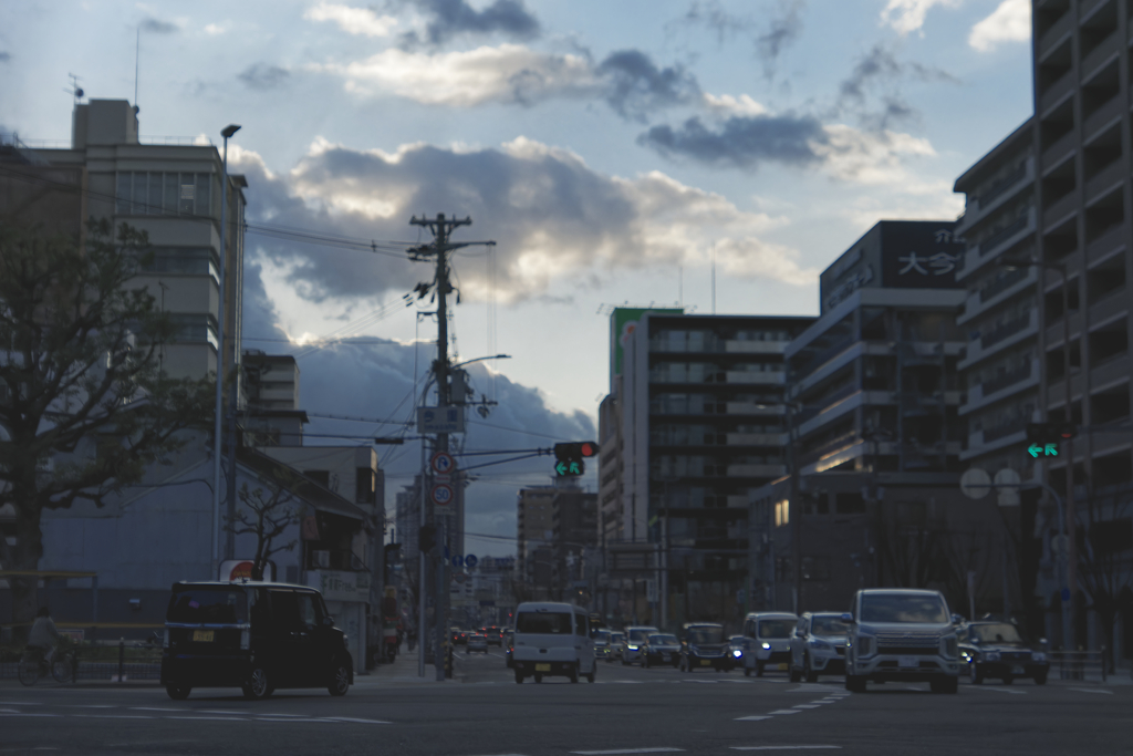 _1010241_DxO