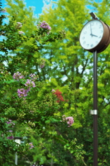 DSC01828
