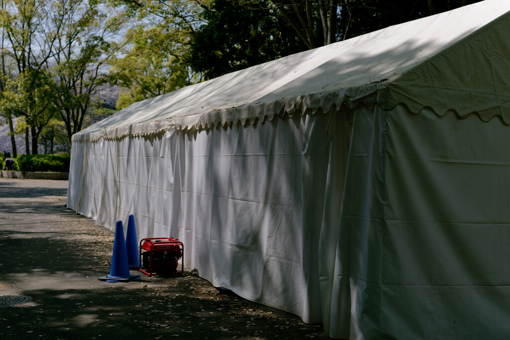 P1000841_DxO
