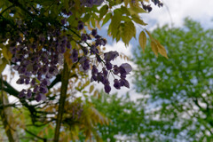 P1011028_DxO