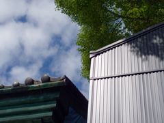 P1020251_DxO
