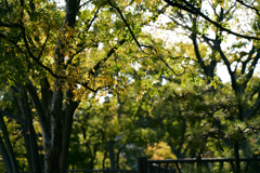DSC03948