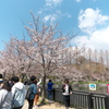 P1077936
