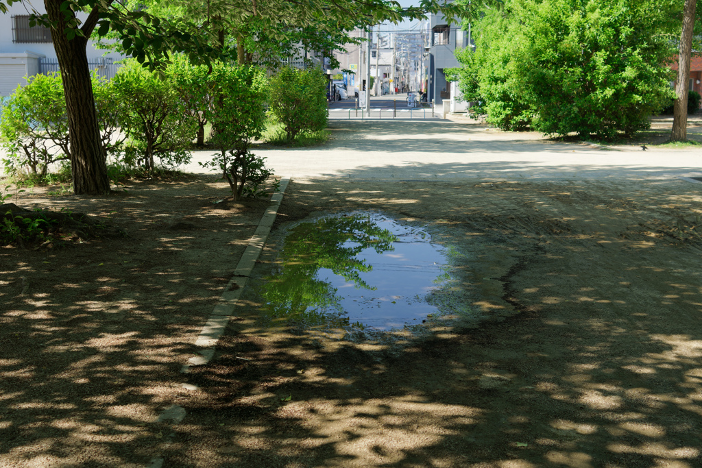 雨上がりの公園