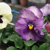 P1010358