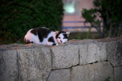 DSC01198
